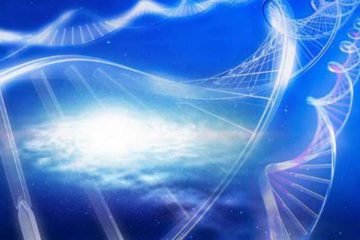 S’ABANDONNER À L’INTELLIGENCE DE LA LUMIÈRE ET VIVRE LE GRAND ÉVÉNEMENT SANS ÊTRE PERTURBÉ