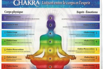 Les sept chakras majeurs