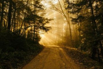 POURQUOI LES CHOSES SONT-ELLES SECOUÉES DANS VOTRE VIE ?