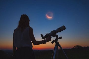 UNE SAGE LEÇON D’OBSERVATION