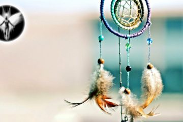 Comment réaliser ses Rêves grâce à sa Vibration Comment réaliser ses Rêves grâce à sa Vibration