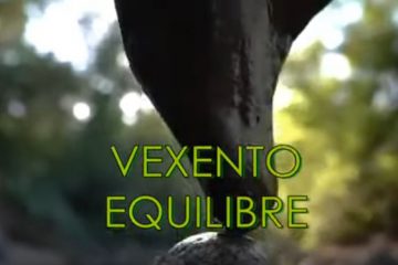 VEXENTO Équilibré pour votre élévation et maintien Vibratoire VEXENTO Équilibré pour votre élévation et maintien Vibratoire