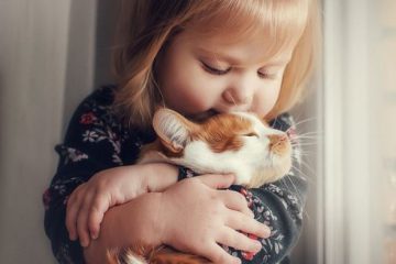 Aimer et méditer sont de la même essence dans ton expérience