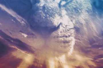 LES ÉNERGIES DU MOIS D’AOÛT 2021 selon MAUD