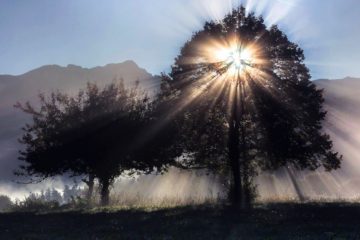 Les énergies négatives et votre mission sur Terre