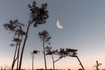 Qu’est-ce-que cette Nouvelle Lune du 10 juillet 2021 en Cancer, a envie de nous dire ?