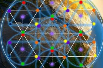 ORGANISATION DE LA NOUVELLE CIVILISATION