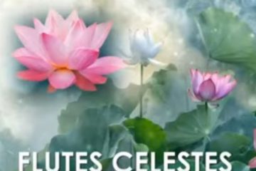Flûtes Célestes – Remerciements à tous