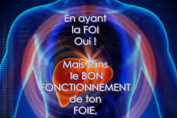 Ta FOI sans l’appui de ton FOIE