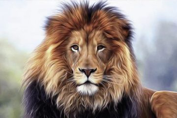 QUE LA FORCE SOIT AVEC TOI ! QUE LA FORCE SOIT AVEC TOI !
