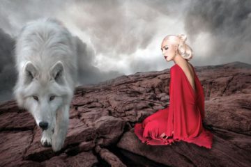 Libérer “l’âme agit” du loup en soi
