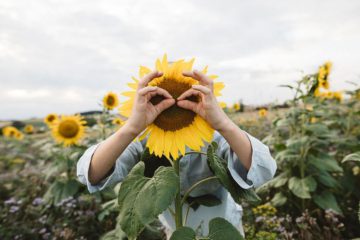 L’histoire qui mène tout le monde au bonheur