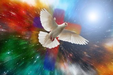 SOUTENIR LA CAUSE DIVINE