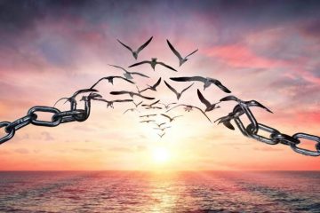 La CULPABILITÉ ne vous sert JAMAIS La CULPABILITÉ ne vous sert JAMAIS