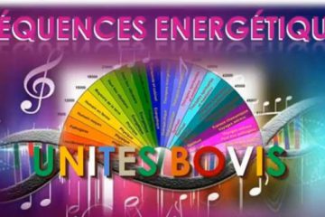 LES FRÉQUENCES DE GUÉRISON ÉNERGÉTIQUE