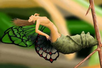 LES ENERGIES DE NOVEMBRE 2021 – CHRYSALIDE & METAMORPHOSE