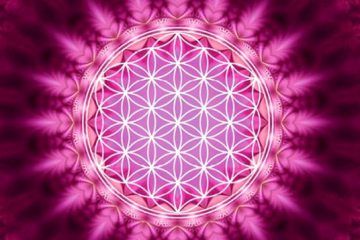 LA MATRICE DE LA STRUCTURE CRÉATRICE