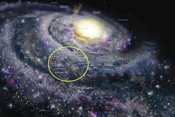 LA TERRE A BESOIN DE CHACUN D’ENTRE NOUS