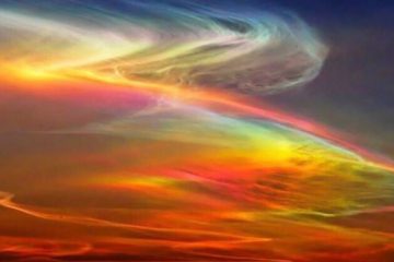 LE GRAND PORTAIL STELLAIRE DU 11 NOVEMBRE 2021 : 11/11