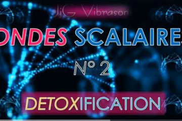 DÉTOXIFICATION – ONDE SCALAIRE n° 2