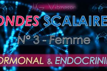 Onde Scalaire n°3 – Système HORMONAL / ENDOCRINIEN