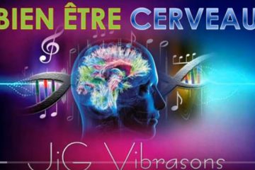 BIEN ÊTRE du CERVEAU BIEN ÊTRE du CERVEAU