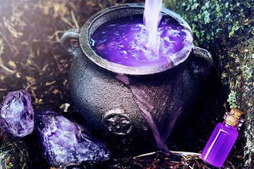 LA SOUPE EST PRÊTE… LA SOUPE EST PRÊTE…