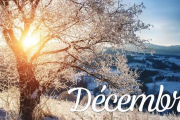 Décembre 2023 – MISE À JOUR DES ÉNERGIES ASCENSIONNELLES