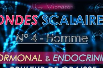 Onde Scalaire n° 4 série Bleue – BRÛLEUR DE GRAISSE Onde Scalaire n° 4 série Bleue – BRÛLEUR DE GRAISSE
