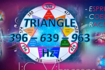 Le Triangle : Racines / Cœur / Esprit