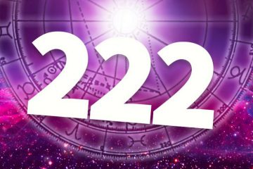 QUEL EST L’ESSENCE DE 222 ? QUEL EST L’ESSENCE DE 222 ?