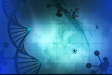 Une cellule au cœur de l’Un Une cellule au cœur de l’Un