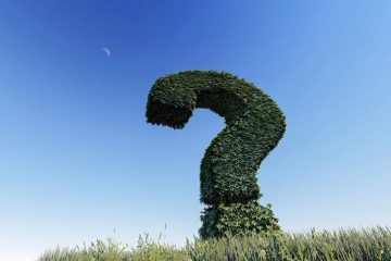 Que penser de cette nouvelle année…? Que penser de cette nouvelle année…?