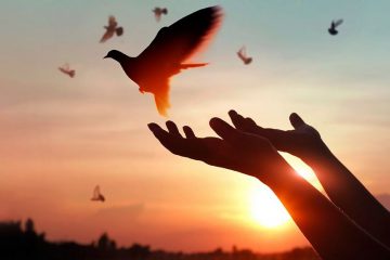 FAITES DES MIRACLES ! FAITES DES MIRACLES !