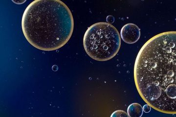 Les Hathors : Vous êtes “une CELLULE”