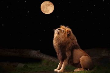 LA PLEINE LUNE EN LION DU 16 FÉVRIER 2022