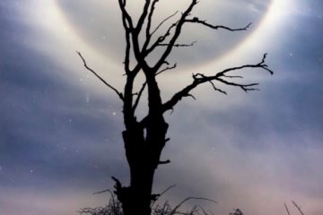 LA PLEINE LUNE DU 16 FÉVRIER 2022 LA PLEINE LUNE DU 16 FÉVRIER 2022