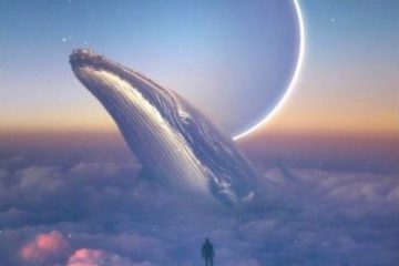 LE PORTAIL STELLAIRE DE NOUVELLE LUNE DU 02 MARS 2022 ET DU 3/3