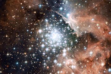 L’ORIGINE STELLAIRE EST BIEN AU-DELÀ DE L’INCARNATION HUMAINE