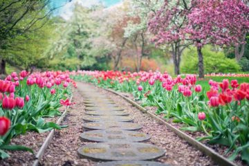 CULTIVER SA VIE COMME UN JARDIN