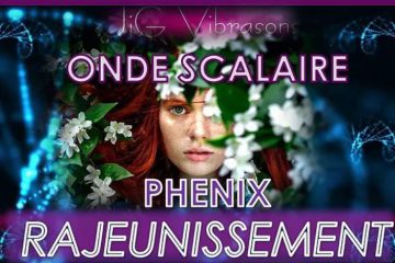 PHÉNIX RÉGÉNÉRATION BEAUTÉ JEUNESSE