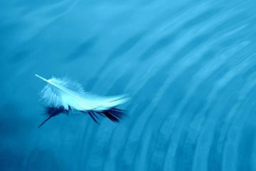CROYEZ-VOUS ENCORE QUE LA LUTTE EST NOBLE ET NÉCESSAIRE ?… CROYEZ-VOUS ENCORE QUE LA LUTTE EST NOBLE ET NÉCESSAIRE ?…