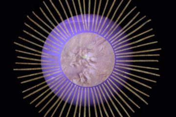 LE 12 MARS NEPTUNE S’ALIGNE AVEC LE SOLEIL LE 12 MARS NEPTUNE S’ALIGNE AVEC LE SOLEIL