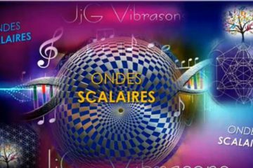 Extrait du COCKTAIL de SCALAIRES ÉQUILIBRANT & REGENERATEUR