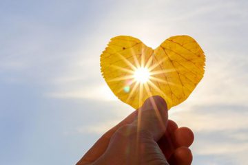 QUEL CHEMIN SERIEZ-VOUS CONSEILLÉ DE PRENDRE ?