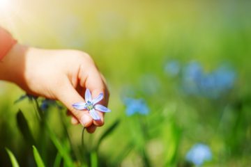 APPROCHER NOS FRÈRES & SOEURS NON ÉVEILLÉS AVEC DÉLICATESSE APPROCHER NOS FRÈRES & SOEURS NON ÉVEILLÉS AVEC DÉLICATESSE