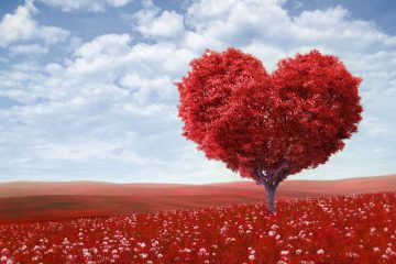 LORSQUE LA VIE OFFRE DE LA HAINE, RETOURNEZ DE L’AMOUR