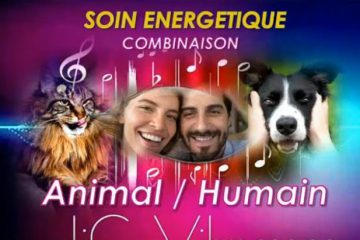 OFFRE PROMOTIONNELLE à 70% sur 15 jours