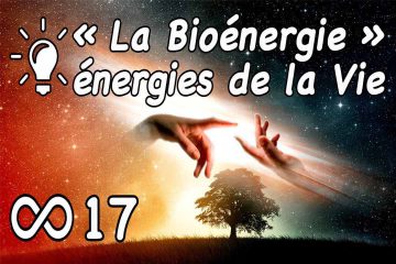 LA BIOÉNERGIE POUR HARMONISER VOTRE VIE