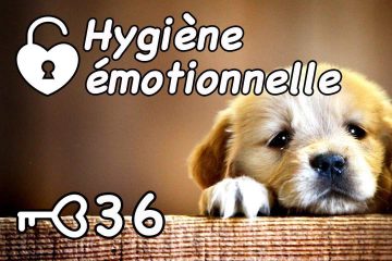 L’IMPORTANCE DE L’HYGIÈNE ÉNERGÉTIQUE DES ÉMOTIONS
